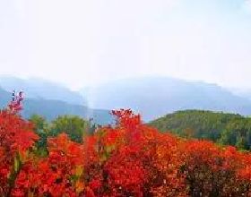 太行山最美的秋色在這裡