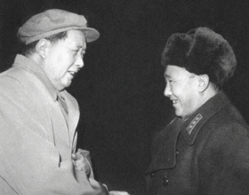 技貿破冰與築籬｜輸日蔬菜質量安全監管知多少