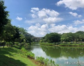 出生僅36小時就告病危，ECMO助寶寶逆轉命運，近1個月救治過程每天都驚心動魄