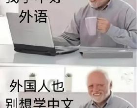 中文有多難學？外國人用“梗圖”進行吐槽，原諒我不厚道地笑了
