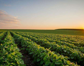 雲山戰鬥，吳信泉交火後才知道打的是美軍：本想吃肉，卻啃了骨頭