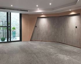 抗美援朝戰爭第五次戰役，志願軍奮戰時，朝鮮人民軍在幹什麼？