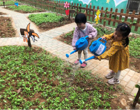 幸福花園幼兒園開展了“親近自然，快樂收菜”活動