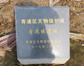 上海古鎮發現一口宋代古井，6年後卻挖出千年地宮，出土4顆佛舍利
