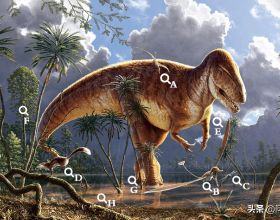 從一張侏羅紀恐龍的插圖中，探索當年地球的多樣物種和生態系統
