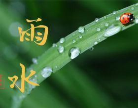 3月開始，立陶宛的3G網路將逐漸被Telia關閉