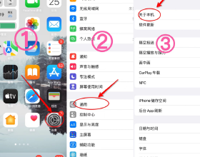 世上只有一個谷愛凌，但可以有很多“蔡壘磊”