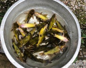 中國公認面膜榜單！不油膩！面板超好，支援國貨