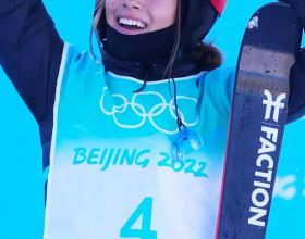 日本90年代三神作之一的《全職獵人》，螞蟻篇到底講了什麼？