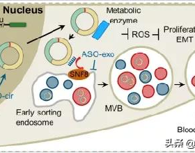 蘇聯史：危機四伏的1917-1920，列寧做對了什麼，才反敗為勝