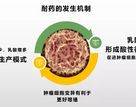 室內吊蘭獨自開