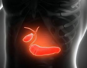 遠看山有色，近聽水無聲：國畫藝術作品鑑賞