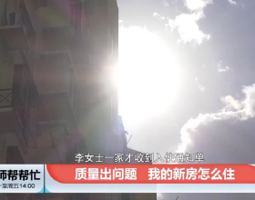 小小多肉，許你土壤，給你陽光，慢慢生長