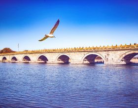 智齒不疼需要拔掉嗎？應該怎樣正確處理？牙科專家終於說了大實話