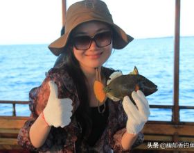 農村建房多數人選用樹脂瓦，它有哪些致命缺陷？該不該大力推廣？