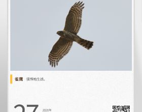 本週外盤看點丨 歐洲繼續收緊防疫措施，多國政要將發表新年致辭