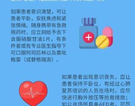 派安盈釋出“品牌方舟賣家騰飛計劃”，為中國跨境電商品牌出海賦能