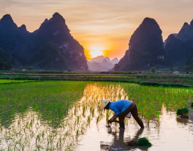 5 款扇形錶盤手錶