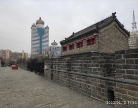 王陵基被俘後大罵蔣介石，杜聿明獄中給他刮鬍子，獲特赦時已81歲