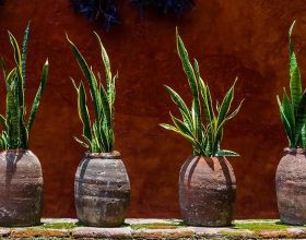 天齊鋰業深度報告：擴產乘風資源價格重估，鋰資源巨頭王者歸來