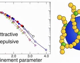 多分散聚合物網路中奈米粒子的動力學：從自由擴散到跳躍