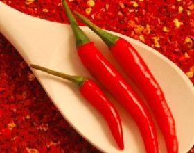 科王電器2022揚帆起航，乘風破浪，共赴新徵程