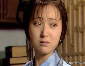 分享圖片：大紅精品蘭花66款