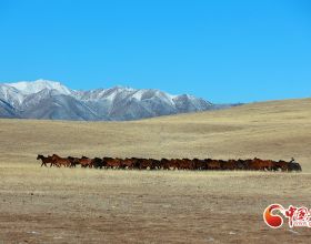 從2月份開始，一旦你相信以下五大忽悠，就等於給開發商送錢