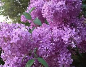 股市重要資訊早知道2022-02-16（星期三）