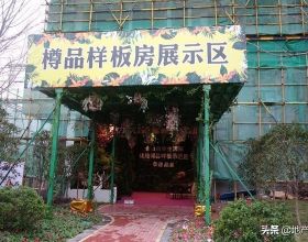 李鍾碩林允兒新劇定檔，神顏夫婦即將上線，超期待