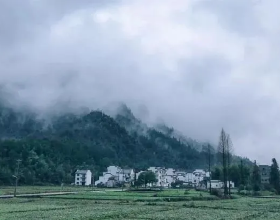 價值低估的5大&OpenCurlyDoubleQuote;資訊保安&rdquo;龍頭：數字經濟的保護傘，有望爆發