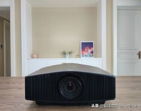 北青：考慮到武磊在俱樂部的困境，國足不希望因集訓影響他的前程
