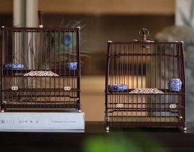 營養素與記憶力的關係