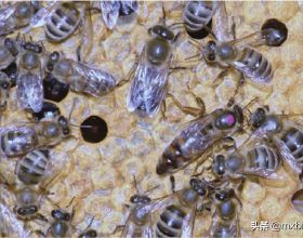 直系親屬犯錯，考公務員一定會受影響嗎？未必，政審應該這樣解讀