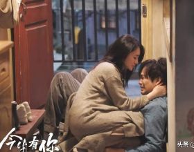 豬為什麼不能仰望天空？