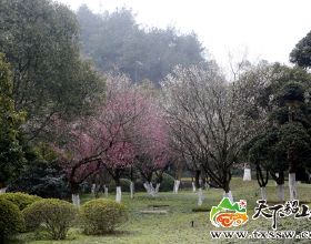 戰報｜北京冬奧會男子冰壺迴圈賽中國隊6：5險勝瑞士隊