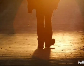 主人給狗狗佈置了一個新房間，狗子一臉無奈：給爺整困了