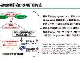 減肥也能吃燒烤味炸魚鱗，不信？看這裡