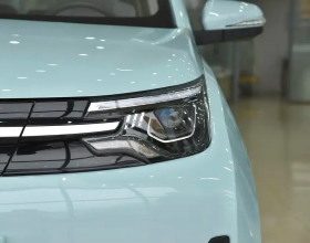 駐塞內加爾使館：未授權個人或機構組織包機回國