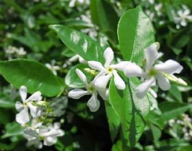 這家小貸公司將借款資訊上報徵信的行為違法，內容不實，應予糾正