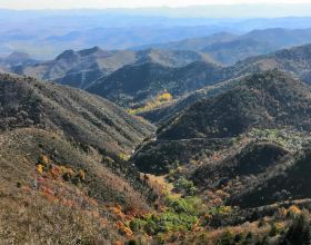 尷尬！湖人休賽期3選1做最差決定，不給阿贊3年合同錯過爭冠時機