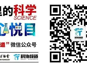 商場實機評測TCL和海信畫質調校到底哪家強？