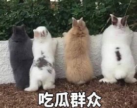 2022拼續航？這幾款電動新車，讓同行明晃晃的忌妒