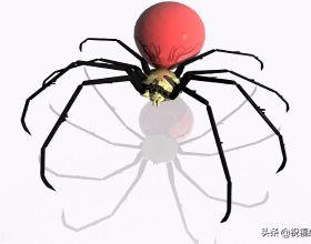 毒蜘蛛-五毒之——蜘蛛毒液，你應該瞭解的毒性知識（一）習性篇