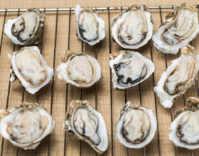 桑拿浴房安裝應注意的問題