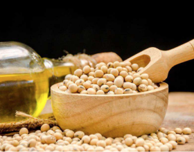 康熙帝證實過牛頓的偉大猜想 還說要警惕西方 變革卻晚來一個世紀