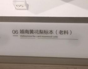 10年前，2個日本人突然去世了，10年後還會發生什麼？