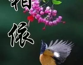 許世友晚年申請土葬，想葬在母親身旁，鄧小平用七個“特殊”答覆