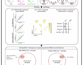 北京BJ80&colon; 29&period;8萬元起，測評2020款 2&period;3T 自動俠客版