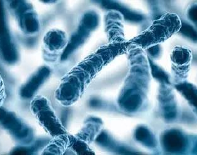 網約車平臺正在洗腦司機，司機入坑還不自知